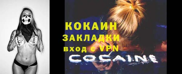 дживик Алзамай