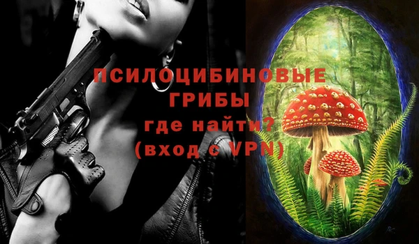 мет Алексин