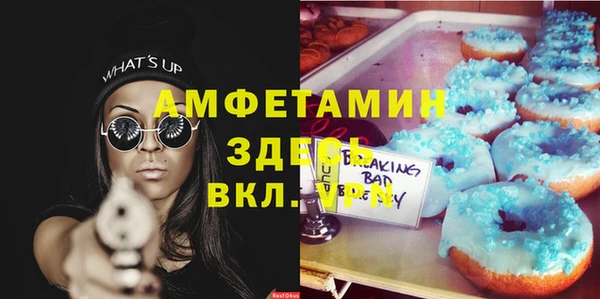 мет Алексин