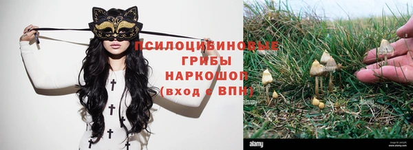 трава Алексеевка