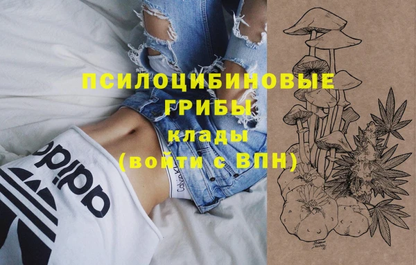 дживик Алзамай