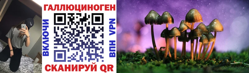darknet состав  Йошкар-Ола  Галлюциногенные грибы Magic Shrooms  OMG  
